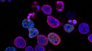 Delivering the UK Life Sciences Sector Plan